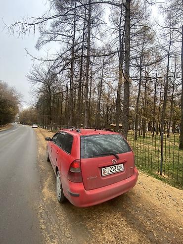 Toyota: Toyota Corolla: 2003 г., 2 л, Автомат, Бензин, Универсал — 13