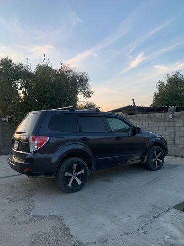 Subaru: Subaru Forester: 2009 г., 2.5 л, Механика, Бензин, Внедорожник — 4