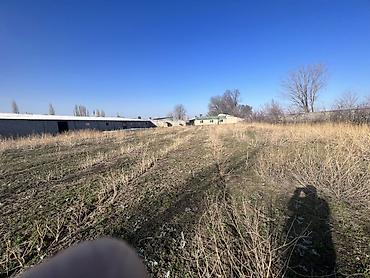 Продажа сельхоз предприятий: Сельскохозяйственные корпуса/сараи под фермерство Описание: - — 7