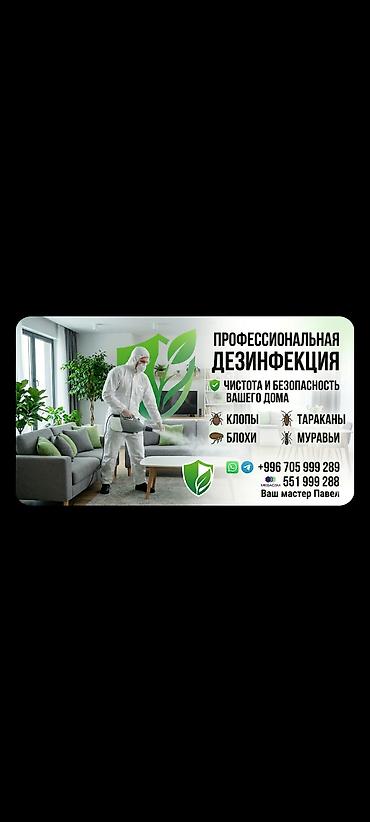 165 13: Дезинфекция, дезинсекция, | Вирусы, микробы, Клопы, Тараканы, | Подвал, погреб, Офисы, Транспорт — 1