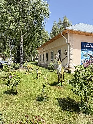 Продажа квартир: 3 комнаты, 50 м², Элитка, 3 этаж, Евроремонт — 15
