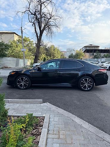 mark x: Toyota Camry: 2020 г., 2.5 л, Бензин, Седан — 6