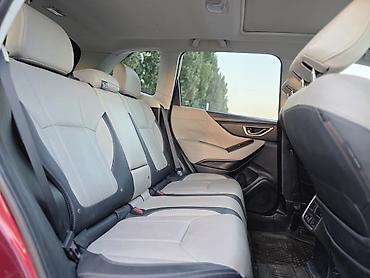 forest: Subaru Forester: 2019 г., Кроссовер — 6