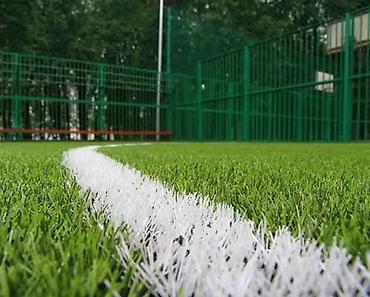 Газон: Искусственная трава (газон в рулонах) - Назначение: ландшафтный — 9