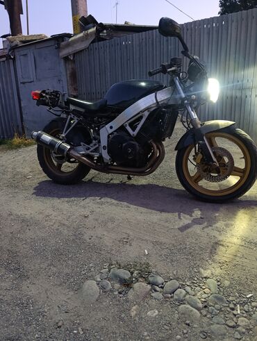 cobra выхлопные системы для мотоциклов: Спортбайк Honda, 250 куб. см, Бензин, Взрослый, Б/у