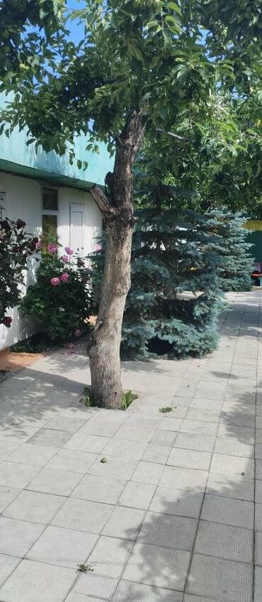 Продажа домов: Дом, 80 м², 4 комнаты, Собственник — 20