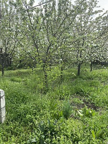 Продажа коттеджей и домов: Продается дом в селе Бектоо ( совхоз Ала тоо) 10 минут езды от at lalafo.kg — 10 Продажа коттеджей и домов: Продается дом в селе Бектоо ( совхоз Ала тоо) 10 минут езды от — 10
