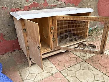paroda: Çoxseksiyalı dovşan qəfəsləri və avadanlıqları satilir Dovsanlarin — 6