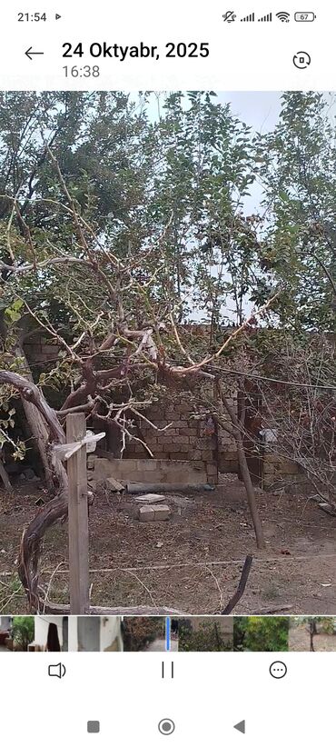 Həyət evləri və villaların satışı: 3 otaqlı, 90 kv. m — 11