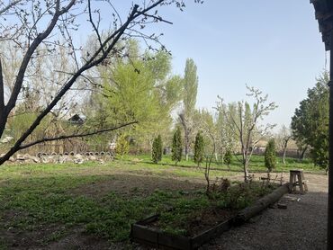 Продажа домов: Дом, 200 м², 13 комнат, Собственник, Косметический ремонт — 2