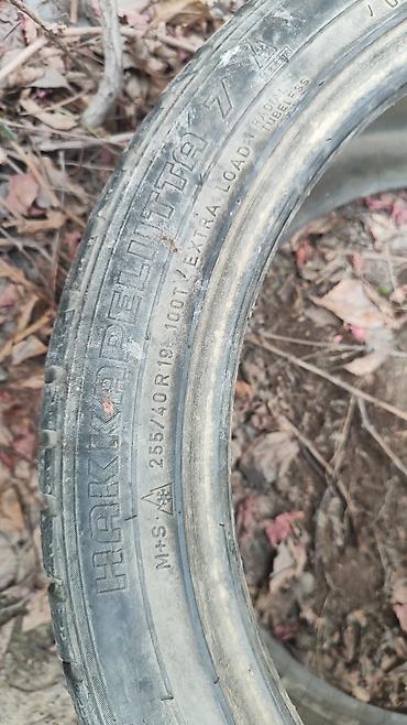 зимние: 255/40r19 одна шина зимняя nokian hakapellita. при желании шипы можно — 2