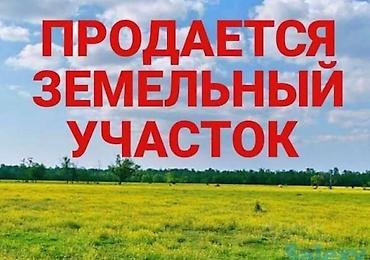 4 соток, Для бизнеса, Красная книга, Тех паспорт
