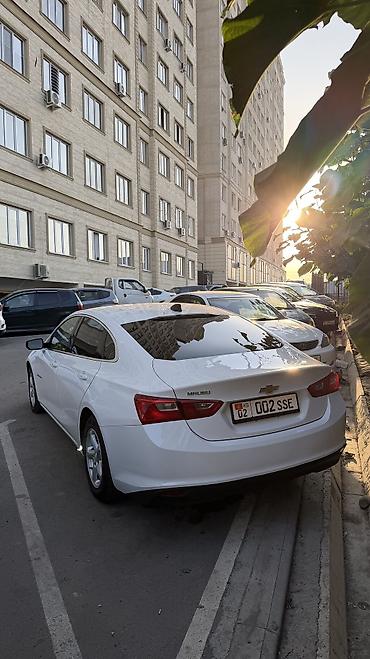 Chevrolet: Chevrolet Malibu: 2018 г., 1.5 л, Автомат, Бензин, Седан — 3