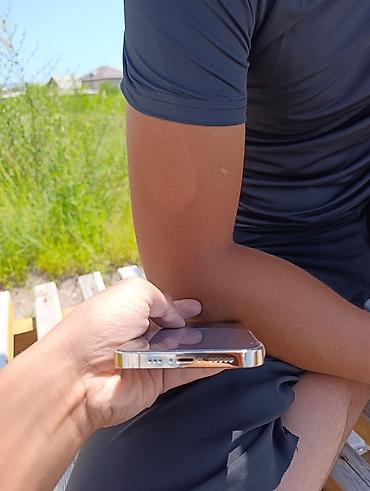 iphone 12 pro цена: IPhone 12 Pro, цвет «серебристый» (silver). Экран 6.1", OLED Super — 3