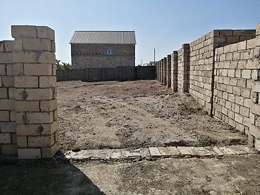 biznes ucun sahə: 7 sot, Kənd təsərrüfatı, Barter mümkündür, Kupça (Çıxarış) — 2