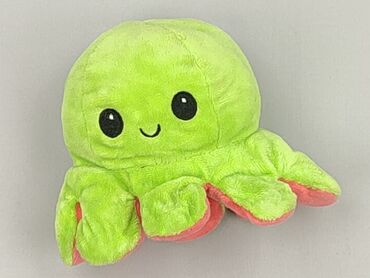 Mascot condition - Very good