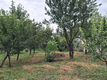 Bağ evlərinin satışı: Yerləşir:Göyçay rayonu Ərəb bələdiyyəsinin yanı trasın qrağı.25 sot -da lalafo.az — 5 Bağ evlərinin satışı: Yerləşir:Göyçay rayonu Ərəb bələdiyyəsinin yanı trasın qrağı.25 sot — 5