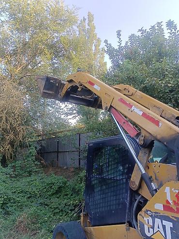caterpillar: Погрузчик, Caterpillar, 2019 г., Колесный, Ковшовый — 2