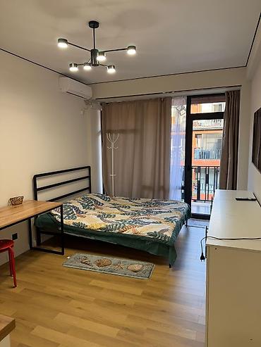 аренда дома на иссык куле: Студия, 29 м², Элитка, 3 этаж, Свежий ремонт — 1