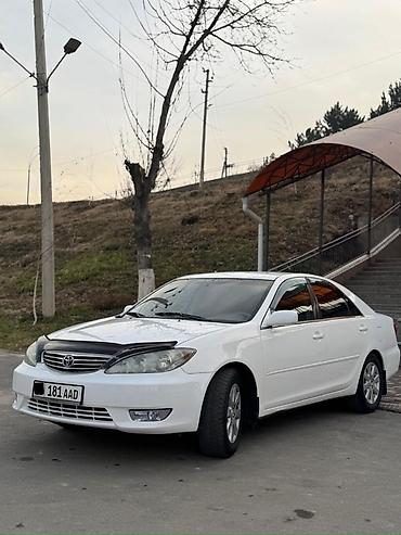 Toyota: Toyota Camry: 2005 г., 2.4 л, Автомат, Бензин, Седан — 4
