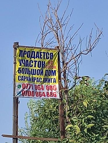 рынок заря: 60 соток, Для бизнеса — 8