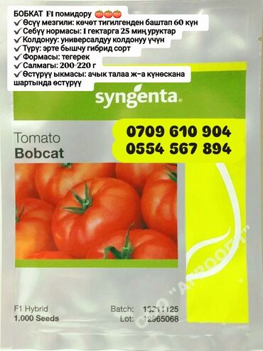 Овощи: Семена овощей: Помидоры, Огурцы, Лук, Самовывоз, Бесплатная доставка, Платная доставка — 4