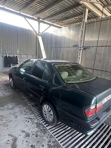несия: Nissan Primera: 1994 г., 1.6 л, Механика, Бензин, Седан — 4