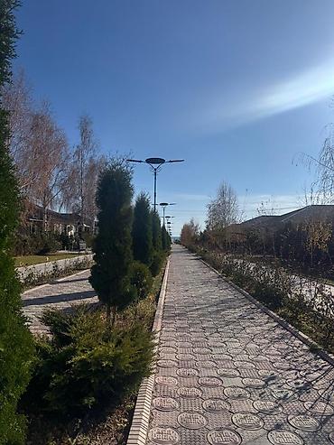 Продажа квартир: 1 комната, 45 м², 2 этаж — 12