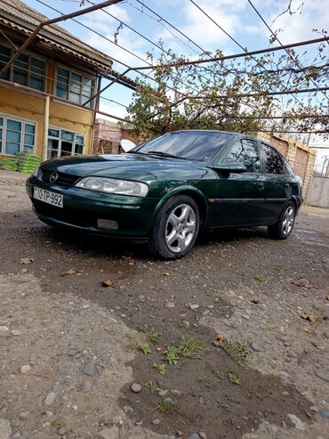 Opel: Opel Vectra B sedan/hatchback (yaşıl rəng) Xüsusiyyətlər: - Kuzov: 5 — 1