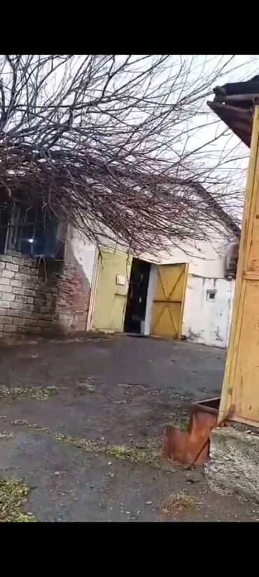 Kommersiya daşınmaz əmlakının satışı: Şəkidə fabrik satılır. Qiymətdə razılaşmaq. Yalnız real alıcılarla -da lalafo.az — 6 Kommersiya daşınmaz əmlakının satışı: Şəkidə fabrik satılır. Qiymətdə razılaşmaq. Yalnız real alıcılarla — 6