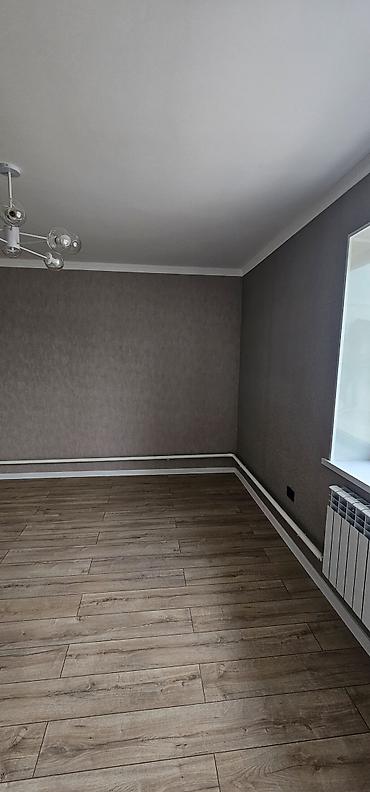 Батирди ижарага алам: 1 бөлмө, 24 м², Жарым -жартылай эмереги бар — 2