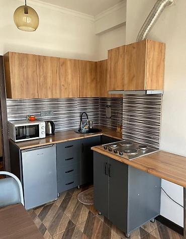 act: 1 комната, 38 м², Карпинка Элитка, 11 этаж, Евроремонт — 3