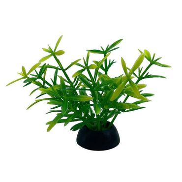 Чехлы: Аквариумное растение изготовлено по образу живых аналогов и создает