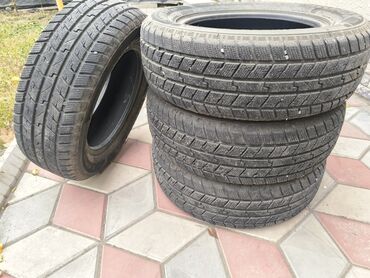 муравей колесо: Шиналар 195 / 65 / R 15, Кыш, Комплект, Жеңил унаалар, Lassa