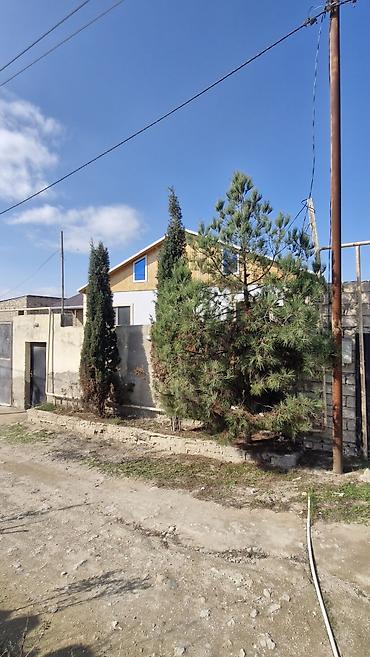 bine xezer: Binə 3 otaqlı, 100 kv. m, Yeni təmirli — 4