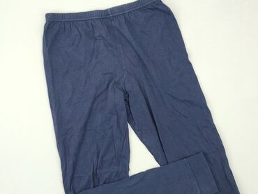 legginsy ocieplane dla dziewczynki 152: Leggings for kids, St.Bernard, 10 years, 134/140, condition - Good