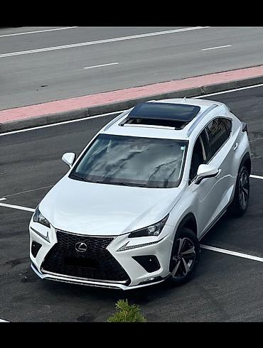 Lexus: Lexus NX: 2018 г., 2 л, Вариатор, Бензин, Кроссовер — 8