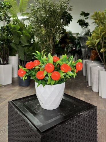 Декоративные цветы: Искусственные деревья — это идеальное решение для оформления интерьера at lalafo.kg — 6 Декоративные цветы: Искусственные деревья — это идеальное решение для оформления интерьера — 6