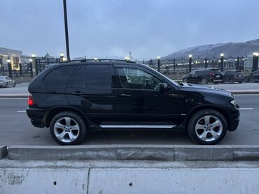 BMW: BMW X5: 2006 г., 3 л, Автомат, Дизель, Кроссовер — 5