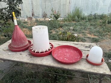 i̇mişli yemi: Yem qabı, Yem üçün, Heyvanlar üçün