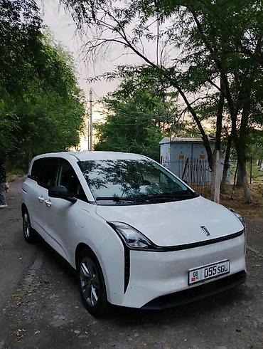 обогриватель для авто: BYD E5: 2023 г., Электромобиль, Минивэн — 2