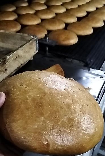 Qida məhsulları: Yeni zavod çörəyi təklif edilir — 6