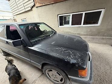 ешка 124: Mercedes-Benz 190: 1991 г., 1.8 л, Бензин, Седан — 5
