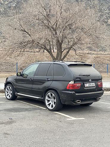 BMW: BMW X5: 2003 г., 3 л, Автомат, Дизель, Внедорожник — 2