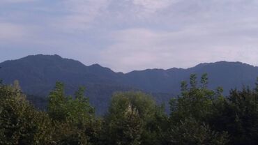 sekide satilan torpaqlar 2022: 10 sot, Tikinti, Mülkiyyətçi, Bələdiyyə