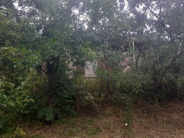 Torpaq sahələrinin satışı: 6 sot, Tikinti, Makler, Kupça (Çıxarış) — 6