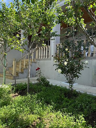 bag evleri: 150 kv. m, 3 otaqlı, Hovuzsuz, Su, Kanalizasiya, Kombi — 5