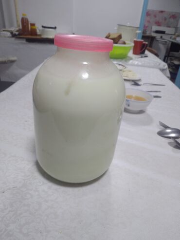 Козы, козлы: Продаю | Коза (самка) | Для разведения — 25