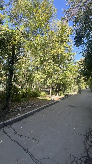 Продажа квартир: 1 комната, 35 м², Боконбаева/Уметалиева 104 серия, 1 этаж, Евроремонт — 10