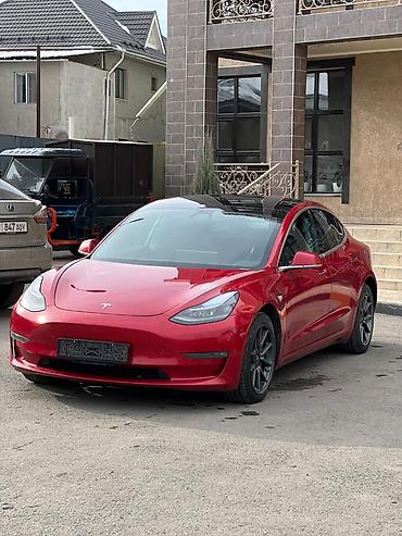 tesla p40: Tesla Model 3: 2019 г., Автомат, Электромобиль, Roadster — 6